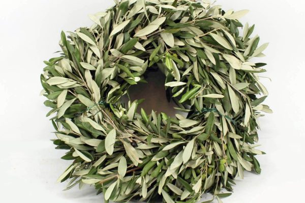 Olive wreath